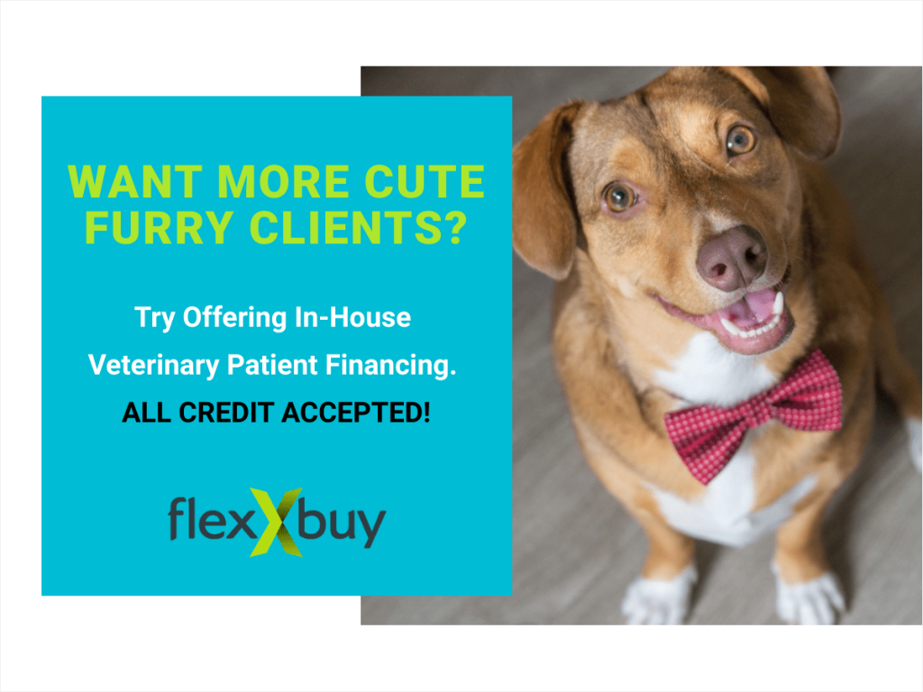 Veterinary Financing — FlexxBuy